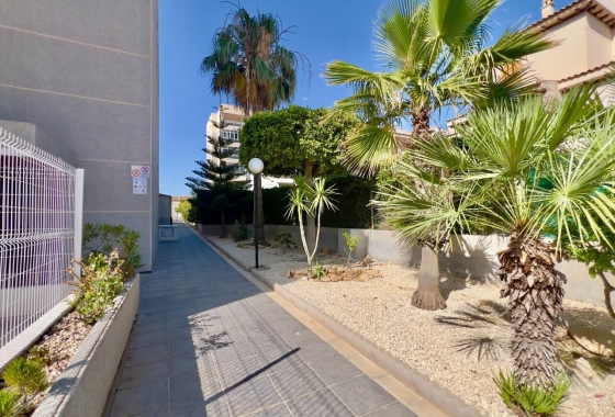 Herverkoop - Appartement / flat - Torrevieja - Costa Blanca