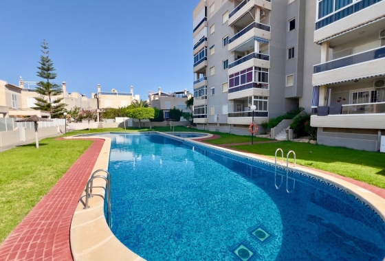 Herverkoop - Appartement / flat - Torrevieja - Costa Blanca