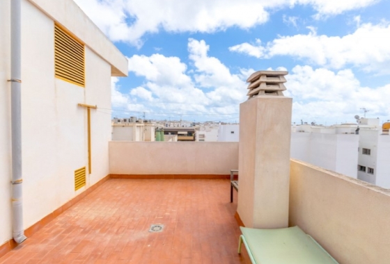 Herverkoop - Appartement / flat - Torrevieja - Costa Blanca