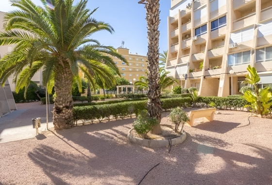 Herverkoop - Villa - Torrevieja - Torreblanca