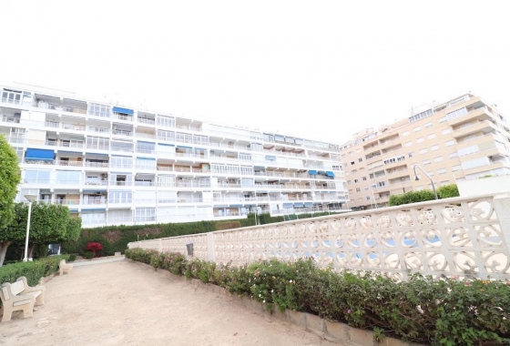 Herverkoop - Appartement / flat - Torrevieja - Costa Blanca