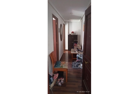 Herverkoop - Appartement / flat - Elche - Carrus