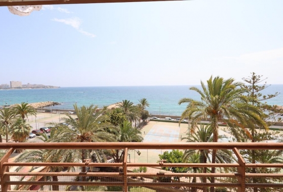 Herverkoop - Appartement / flat - Alicante - Costa Blanca