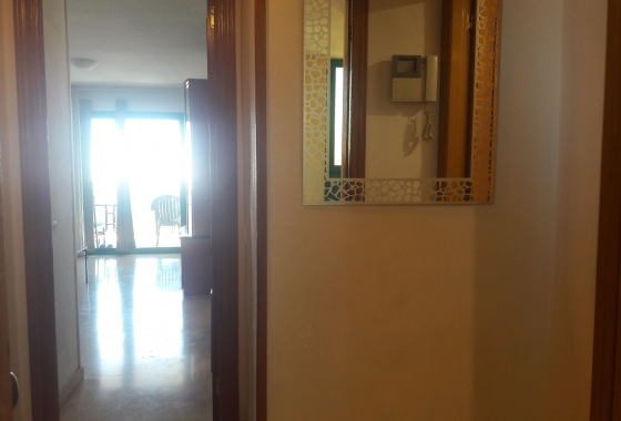 Herverkoop - Appartement / flat - Benidorm - Costa Blanca