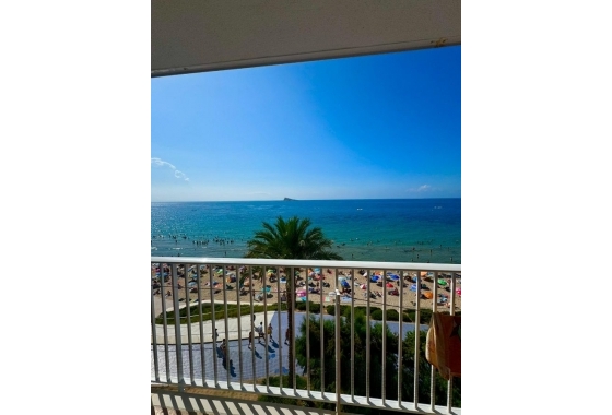 Herverkoop - Appartement / flat - Benidorm - Costa Blanca