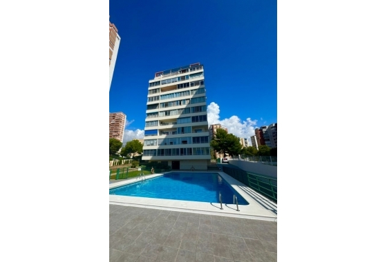 Herverkoop - Appartement / flat - Benidorm - Costa Blanca