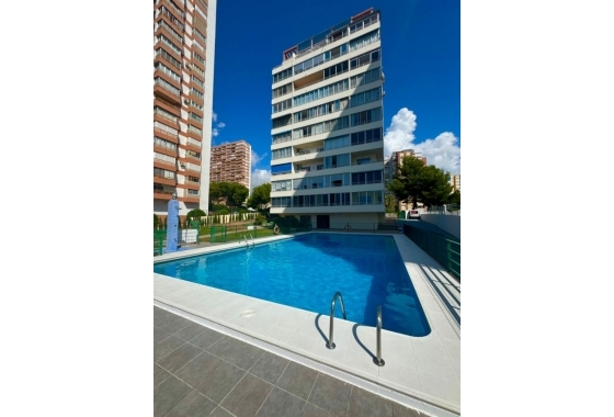 Herverkoop - Appartement / flat - Benidorm - Costa Blanca