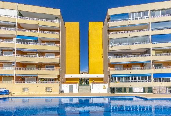 Herverkoop - Appartement / flat - Torrevieja - Costa Blanca