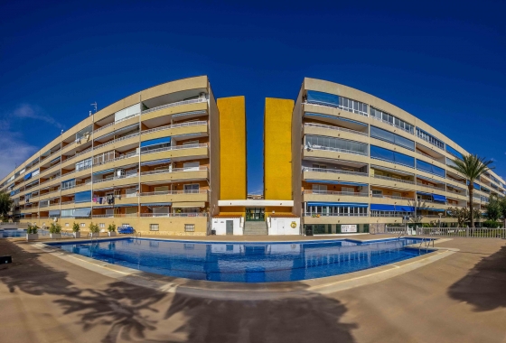 Herverkoop - Appartement / flat - Torrevieja - Costa Blanca