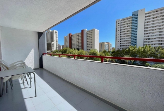 Reventa - Apartamento / piso - Benidorm