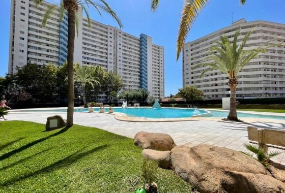 Reventa - Apartamento / piso - Benidorm