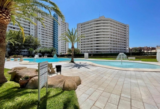 Reventa - Apartamento / piso - Benidorm