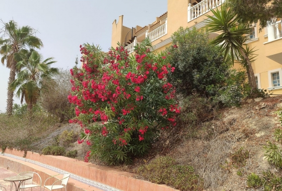 Herverkoop - Villa - San Fulgencio - Costa Blanca