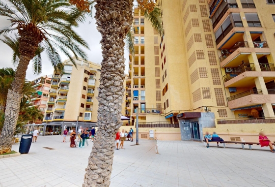 Herverkoop - Appartement / flat - Torrevieja - Playa del Cura