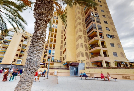 Herverkoop - Appartement / flat - Torrevieja - Playa del Cura