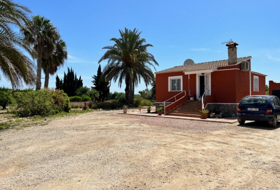 Herverkoop - Finca - San Miguel de Salinas - Inland