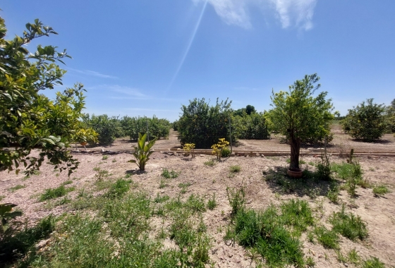 Herverkoop - Finca - San Miguel de Salinas - Inland