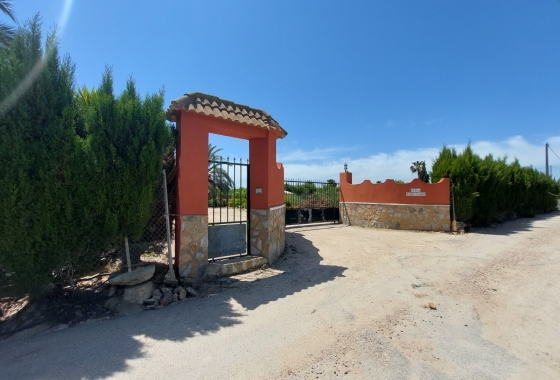 Herverkoop - Finca - San Miguel de Salinas - Inland