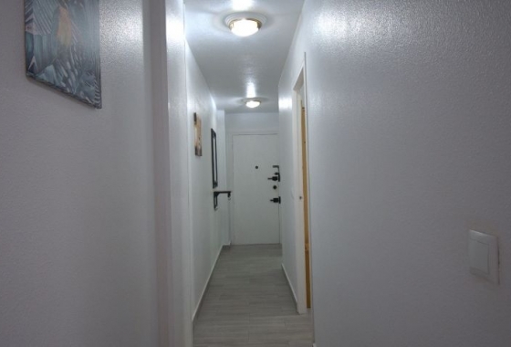 Herverkoop - Appartement / flat - Torrevieja - Costa Blanca