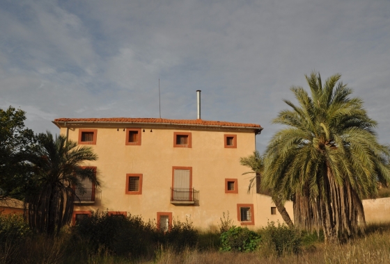 Herverkoop - Finca - Pinoso - Inland