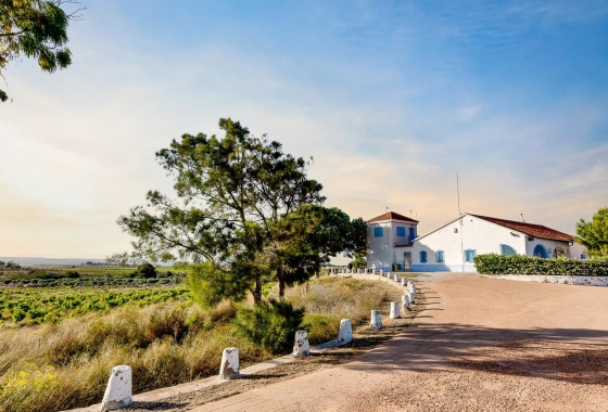 Herverkoop - Herenhuis - Torrevieja - San Luis