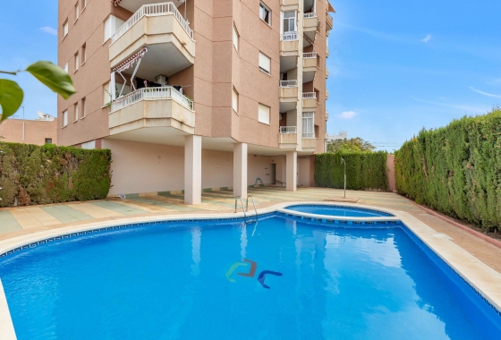 Herverkoop - Appartement / flat - Torrevieja - Nueva Torrevieja