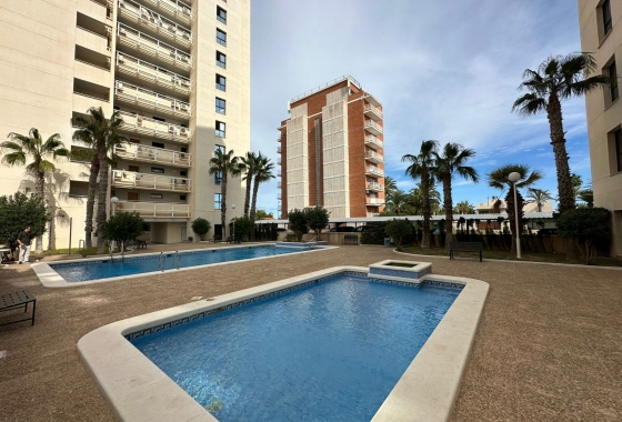 Herverkoop - Penthouse - Torrevieja - Costa Blanca