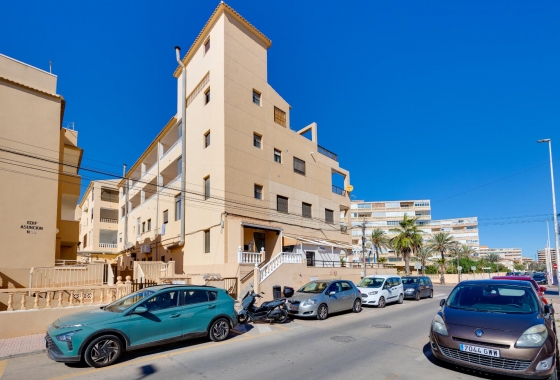 Herverkoop - Appartement / flat - Torrevieja - Costa Blanca