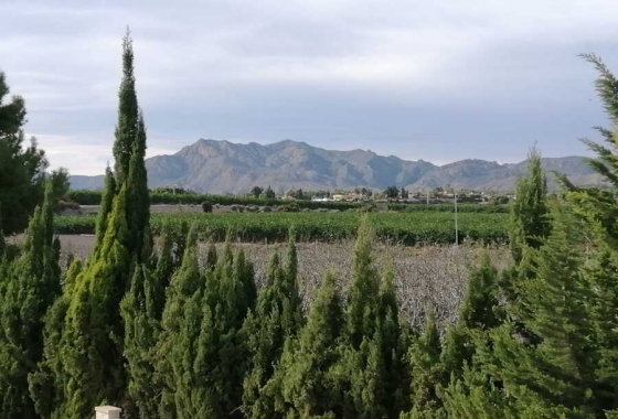 Herverkoop - Finca - Crevillente - Inland