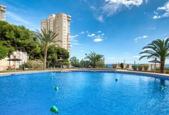 Herverkoop - Appartement / flat - Benidorm - Costa Blanca