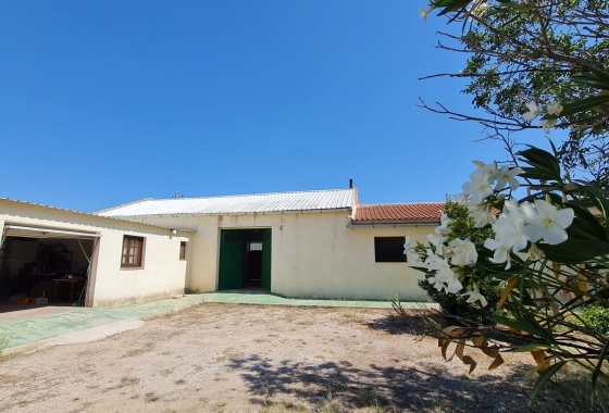 Herverkoop - Finca - Pinoso - Inland