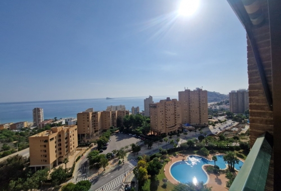 Herverkoop - Appartement / flat - Benidorm - Costa Blanca