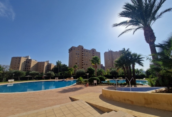 Herverkoop - Appartement / flat - Benidorm - Costa Blanca