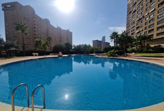 Herverkoop - Appartement / flat - Benidorm - Costa Blanca