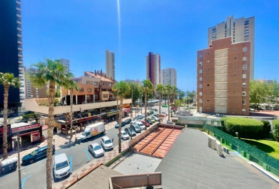 Herverkoop - Appartement / flat - Benidorm - Costa Blanca