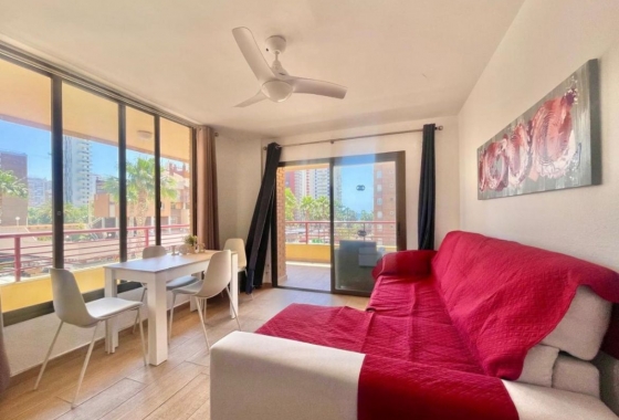 Herverkoop - Appartement / flat - Benidorm - Costa Blanca