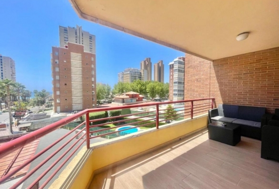 Herverkoop - Appartement / flat - Benidorm - Costa Blanca