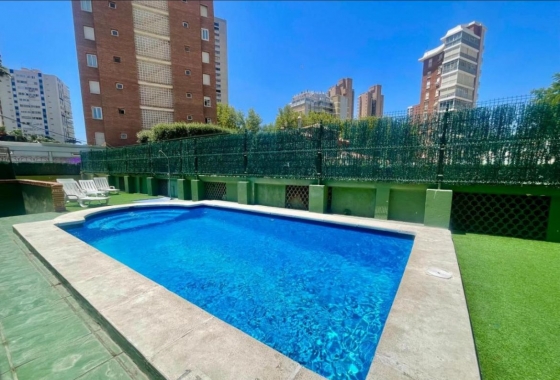 Herverkoop - Appartement / flat - Benidorm - Costa Blanca