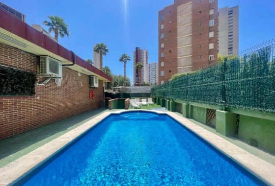 Herverkoop - Appartement / flat - Benidorm - Costa Blanca