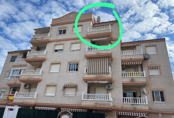 Herverkoop - Appartement / flat - Torrevieja - Estacion De Autobuses