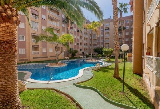 Herverkoop - Appartement / flat - Torrevieja - Centro