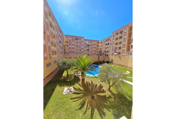 Herverkoop - Appartement / flat - Torrevieja - Centro