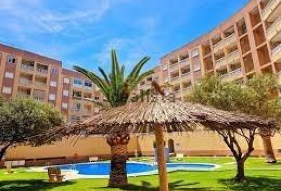 Herverkoop - Appartement / flat - Torrevieja - Centro