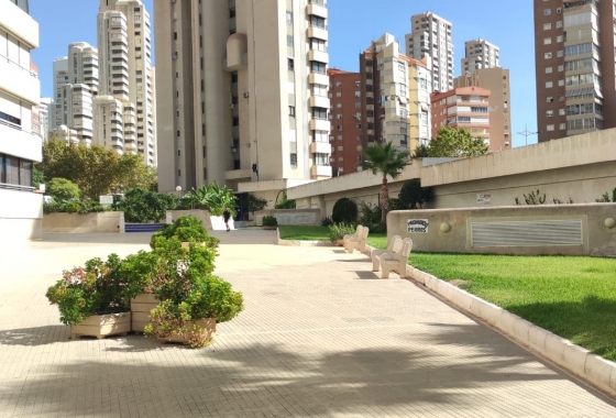 Resale - Penthouse - Benidorm - Costa Blanca