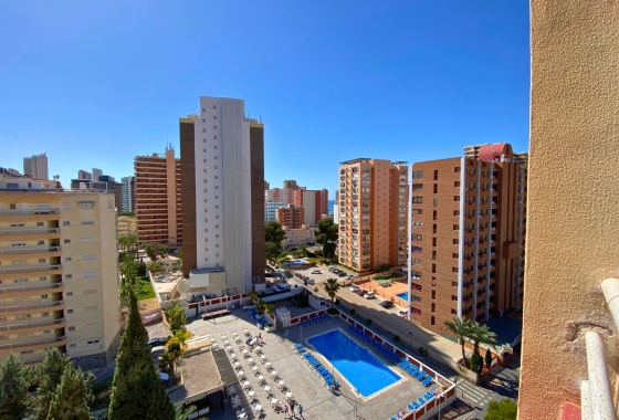 Resale - Apartment / flat - Benidorm - Costa Blanca