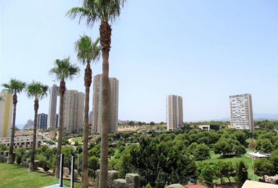 Resale - Apartment / flat - Benidorm - Costa Blanca