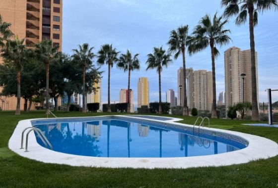 Resale - Apartment / flat - Benidorm - Costa Blanca