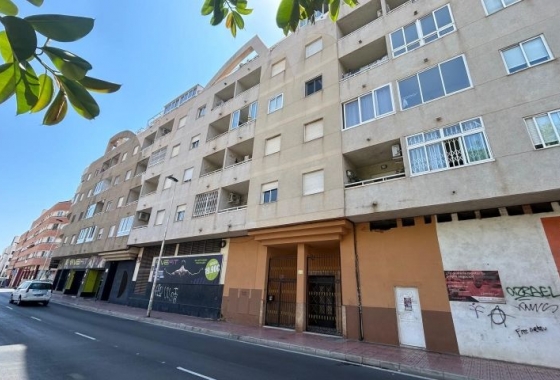 Herverkoop - Appartement / flat - Torrevieja - Costa Blanca