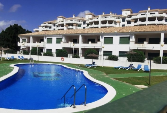 Wiederverkauf - Wohnung - Orihuela Costa - Costa Blanca
