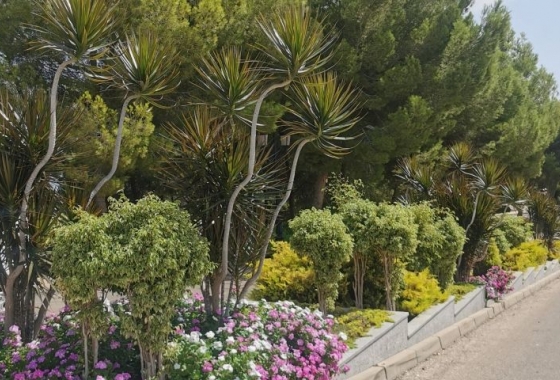 Wiederverkauf - Wohnung - Orihuela Costa - Costa Blanca